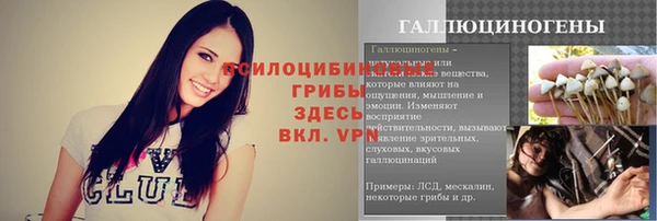 ALPHA-PVP Новозыбков
