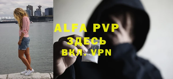 ALPHA-PVP Новозыбков