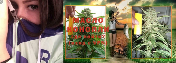 ешки Няндома