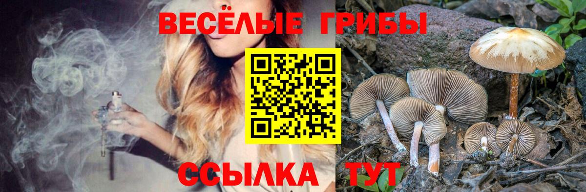 Галлюциногенные грибы ЛСД  Галлюциногенные грибы GOLDEN TEACHER  закладки  Стрежевой  Вход с VPN 