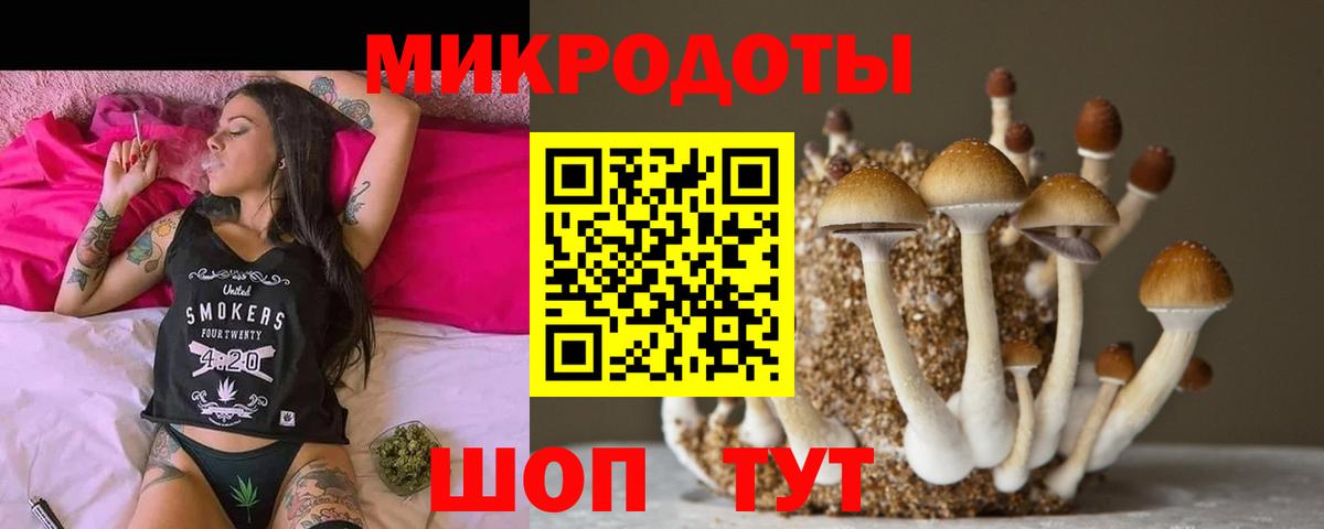 Галлюциногенные грибы Cubensis Стрежевой